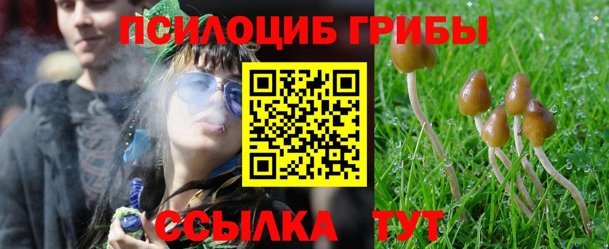 Галлюциногенные грибы GOLDEN TEACHER  Вход с VPN  Туапсе 
