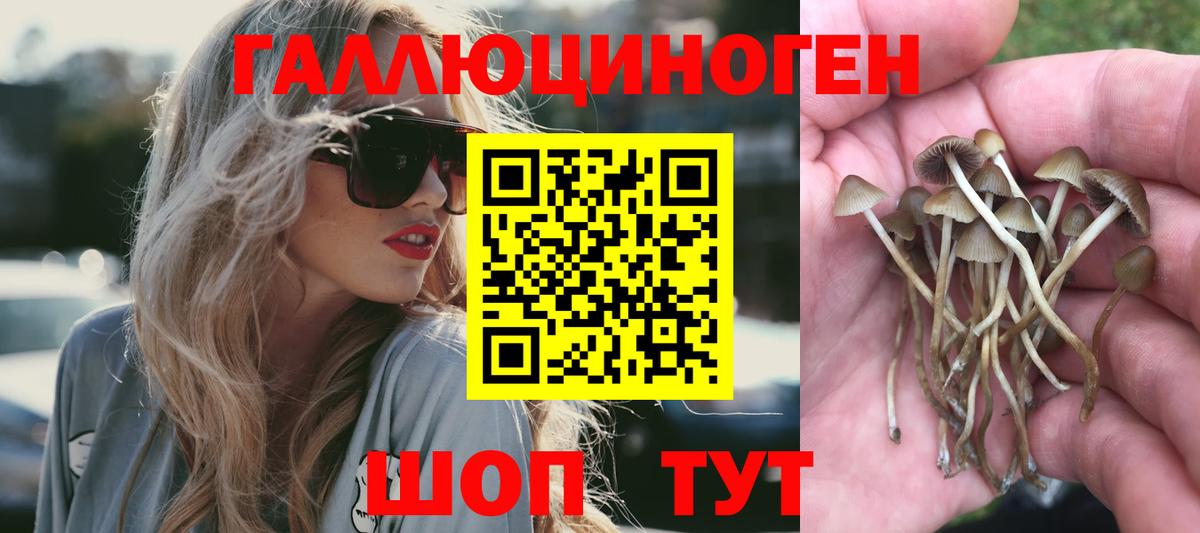 Галлюциногенные грибы GOLDEN TEACHER Туапсе